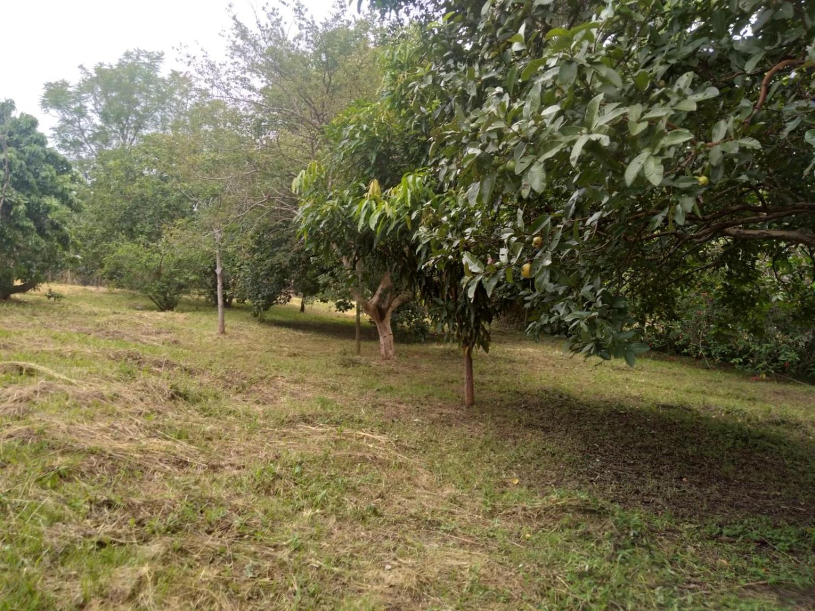 Casa Delicia Em Passa Quatro Ate 6 Pessoas别墅 外观 照片
