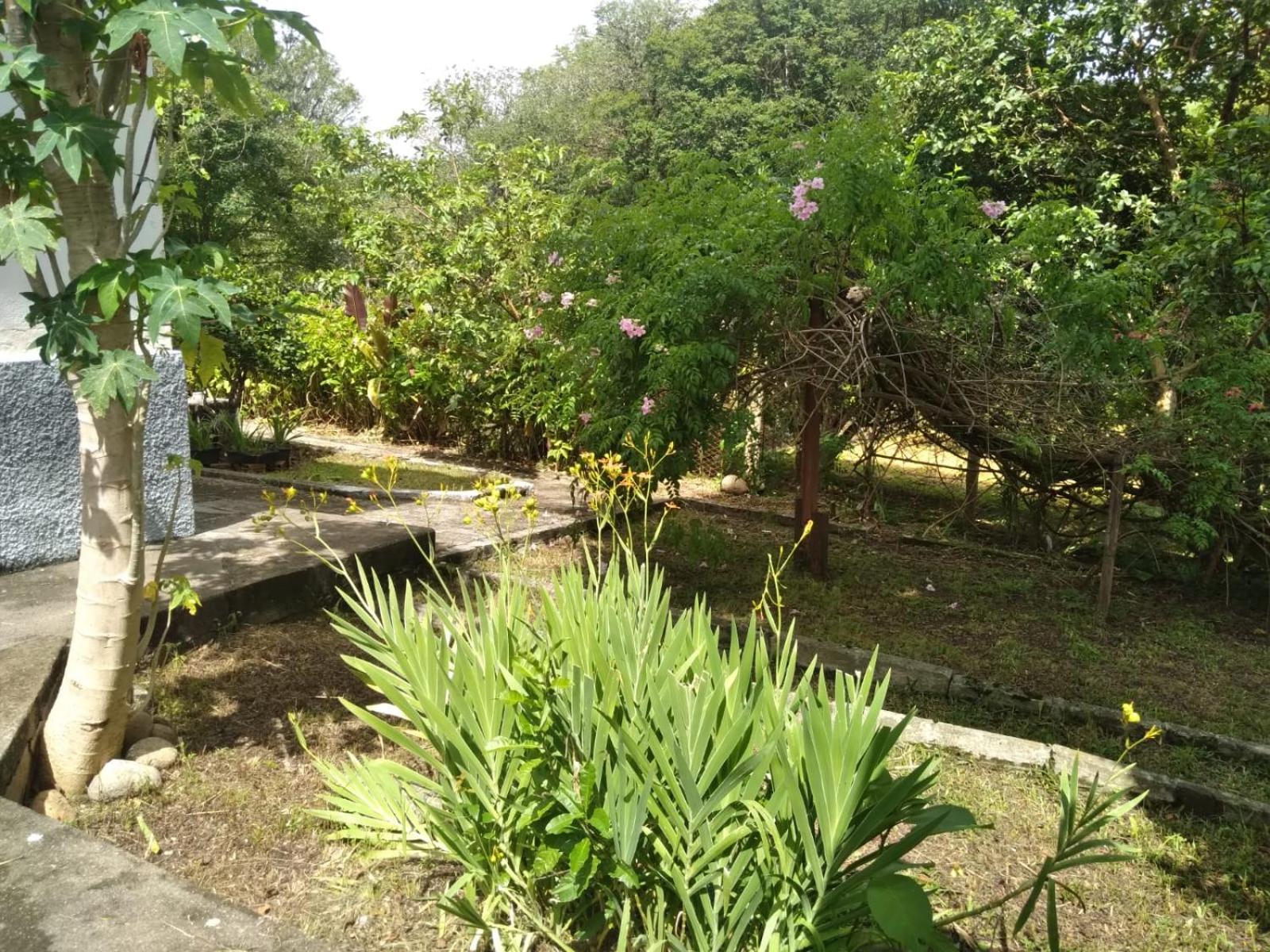 Casa Delicia Em Passa Quatro Ate 6 Pessoas别墅 外观 照片